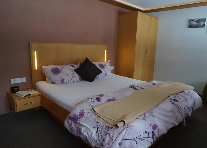 Guest house Haus Schwendinger Mellau